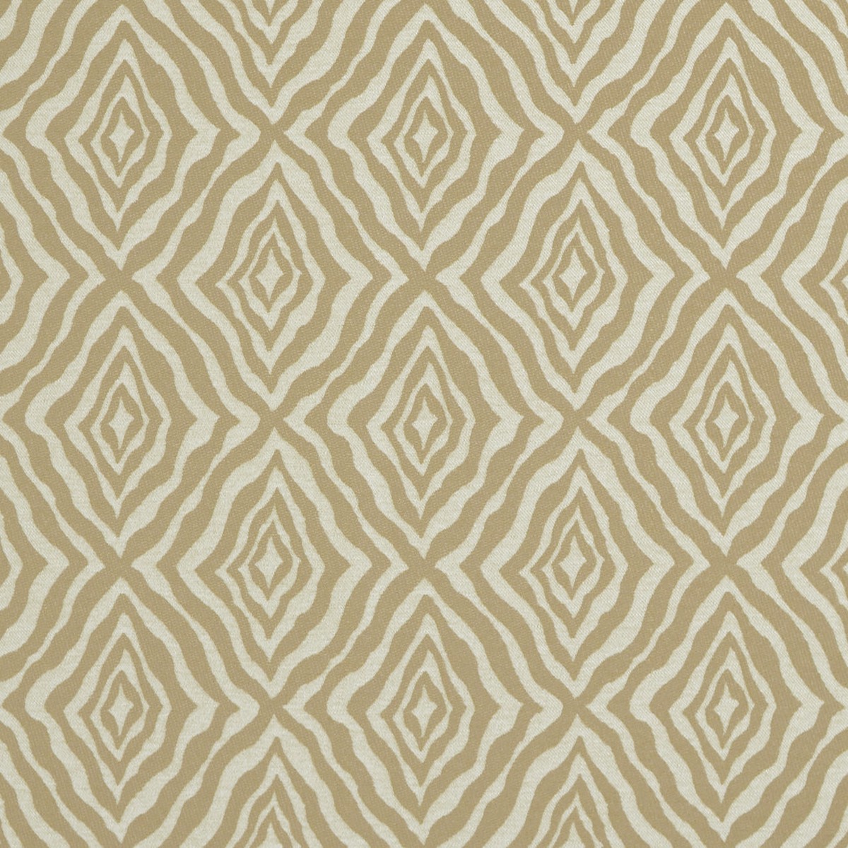 Zumba Shell Covington Fabric