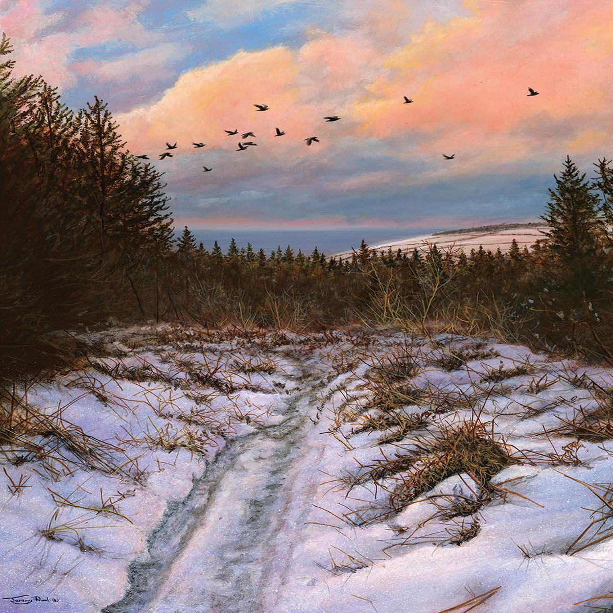 'Birds flying high' - Path to Cringle