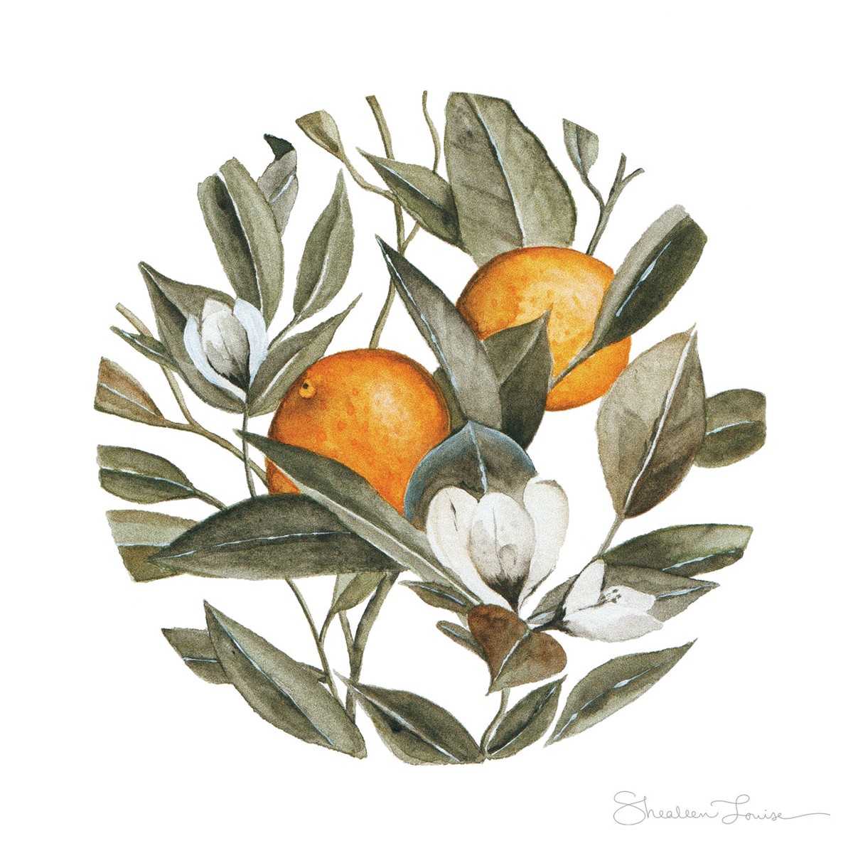 Orange Blossoms No. 2